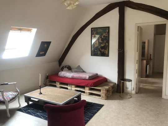 Location Appartement 2 pièces 45m² ANGERS 49100 - Photo 1