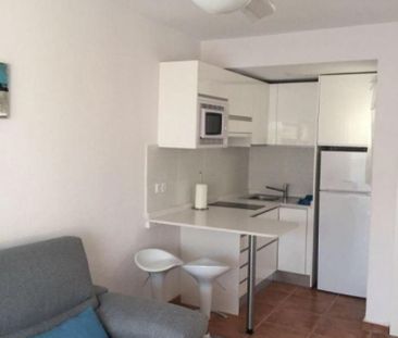 1 Bed Villa/House to Rent - Photo 4