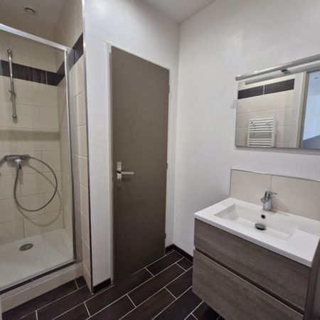 Location Appartement 1 pièce 27m² VIENNE 38200 - Photo 4