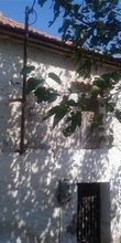 Μονοκατοικία για ενοικίαση - Άριο, - Photo 3