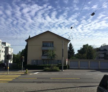 Moderne und geräumige Stadtwohnung mit eigenem Waschturm - Photo 1