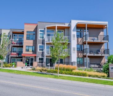 University District: U8 – Top Floor, 1 bed, 1 bath - Photo 3