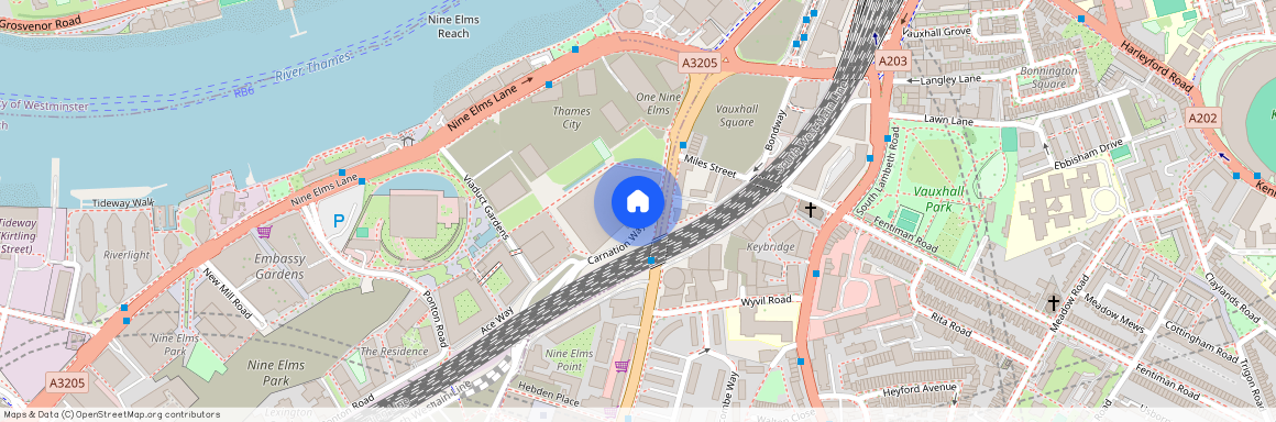 Carnation Way, London