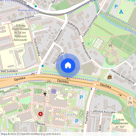 ul. Proszowicka, Prądnik Biały, Prądnik Biały, Kraków, małopolskie