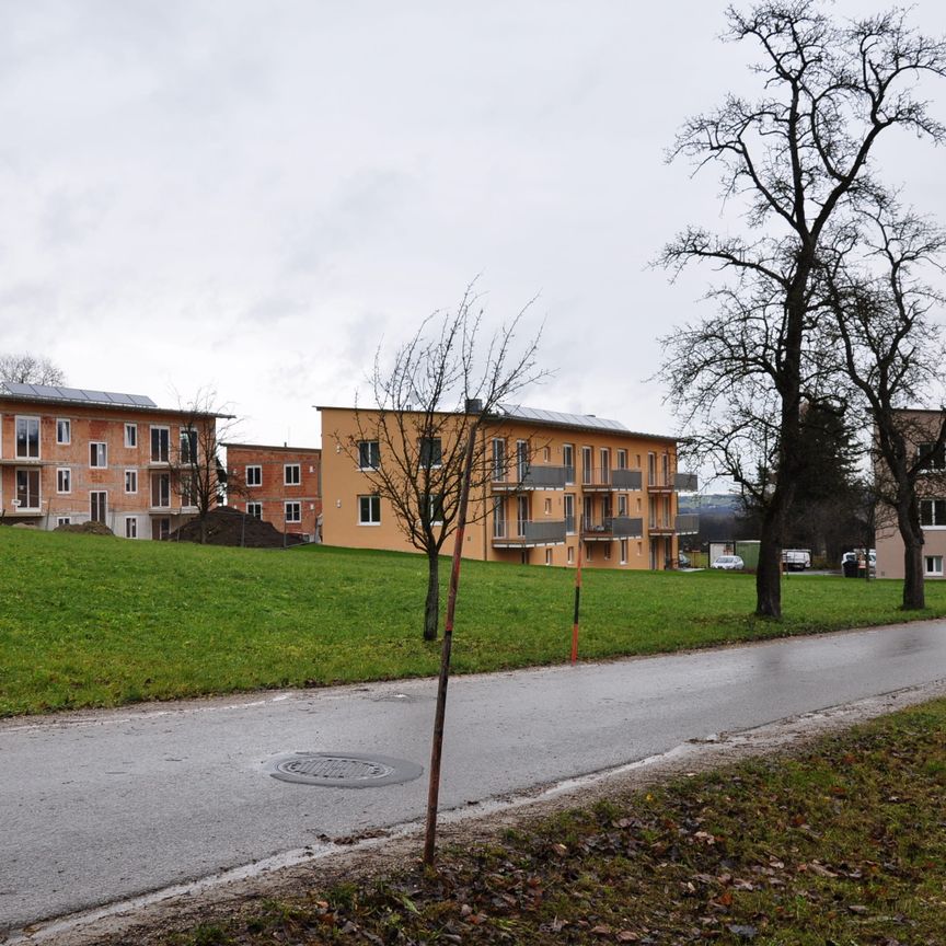 Wohnanlage der LAWOG Am Inslingbach 12/1 4565 Inzersdorf im Kremstal - Photo 2