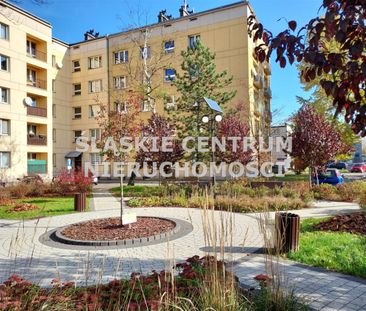 Ligota, Zielonogórska, Katowice - Zdjęcie 4