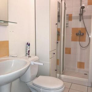 Location Appartement 1 pièce Meublé 25m² BREST 29200 - Photo 3