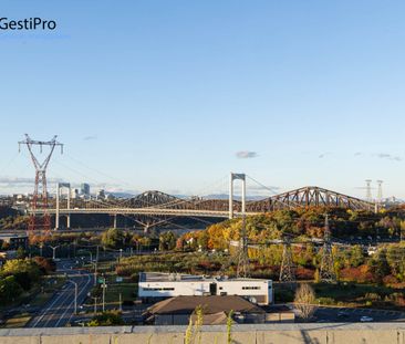 700 route des Rivières – Le 700 - Photo 5