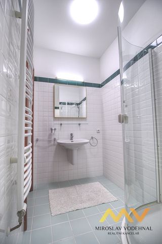 Pronájem podkrovního apartmánu 1+kk o rozloze 98 m - Фото 5