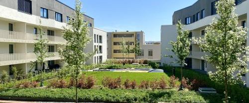 01067 Dresden - Seevorstadt , Wallstraße 4 WE 6.01 - Photo 1