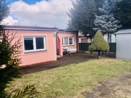 Zgierz, Dzika - Zdjęcie 5