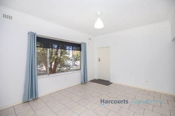 1/13 Davenport Terrace, Wayville SA 5034 - Apartment For Rent - $600 | Domain - Photo 1