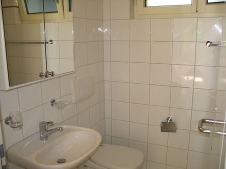 Living between the lake and the city - Photo 3