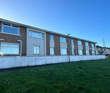 Celandine Court, Gobnascale, Waterside, BT47 2EN - Photo 4