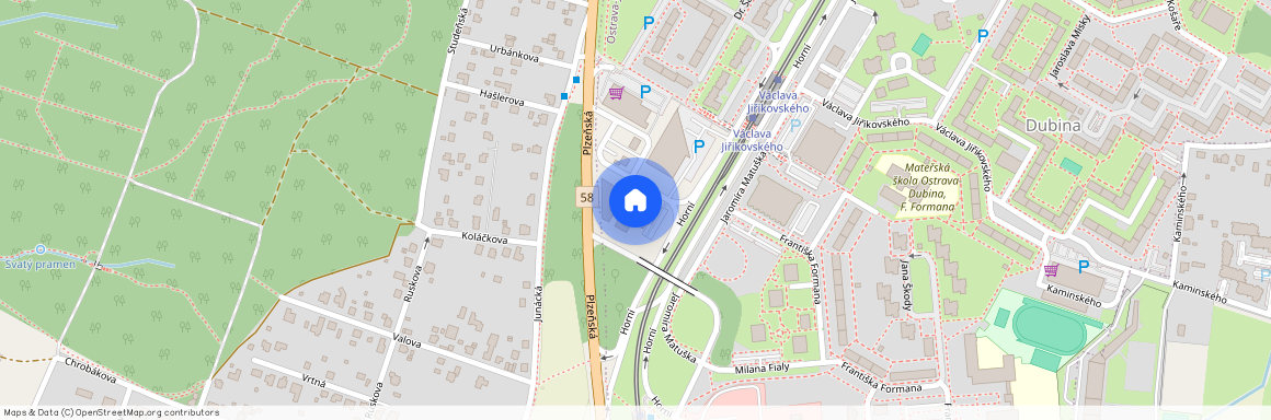 Františka Formana, Ostrava Dubina