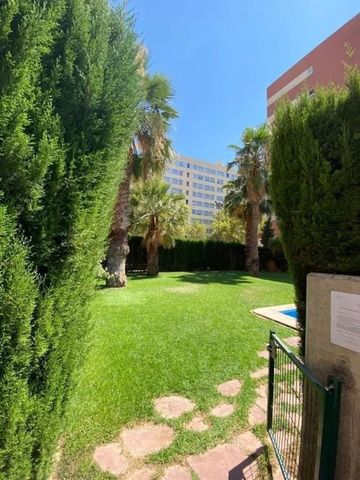 Carrer del Duc de Mandas, Valencia, Valencian Community 46019 - Photo 4