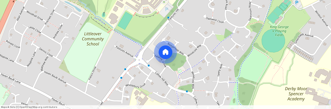 Badgerdale Way, Littleover, DE23