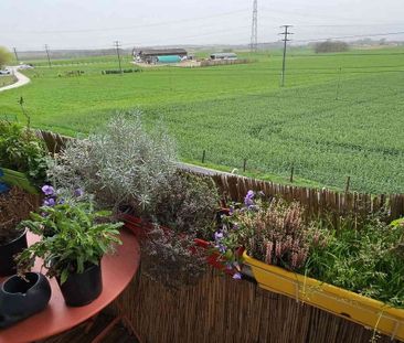 2 Zimmer, 50 m², 1. Stock - Photo 4