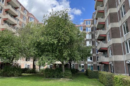 Chambre Haarweg 151, Wageningen – À Louer - Foto 5