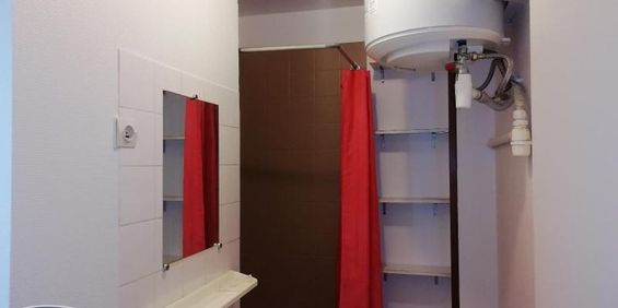 Location Appartement 2 pièces 26m² ANGERS 49100 - Photo 3