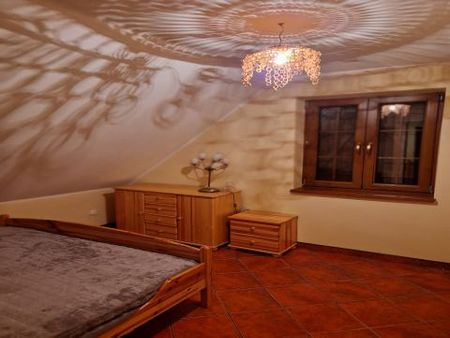 Głuszynek, pow. radziejowski - Photo 5