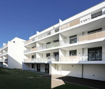 Wunderschöne 3-Zimmer-Wohnung idealer Grundriss mit Loggia und Einb... - Photo 3