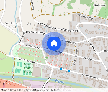 RENT WITHOUT DEPOSIT – The house you’ve always dreamed of - Photo 1