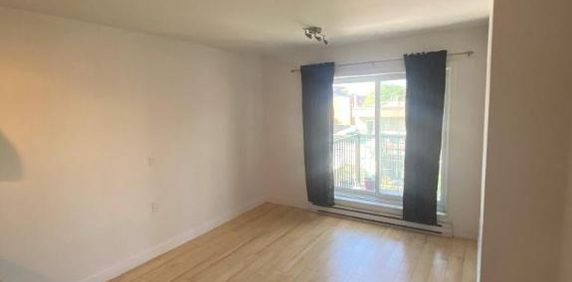 1 CH - 1 SDB - Montréal - $1,195 /mo - Photo 2