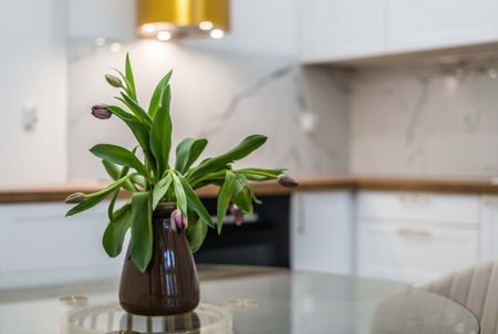 Nowe mieszkanie urządzone kamienica balkon Wilda - Zdjęcie 5