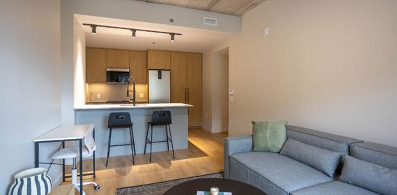 4 1/2 APPARTEMENT MEUBLÉ À LOUER - Photo 2