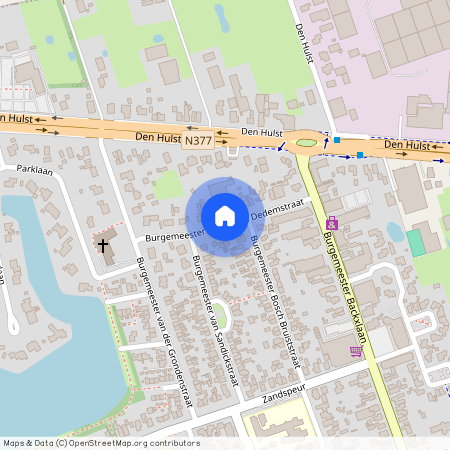 Nieuwleusen Noord, 7711 HV, Burg.Baron van Dedemstraat, Nieuwleusen