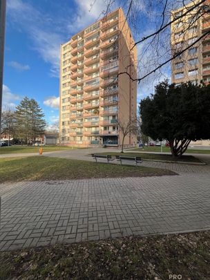 Pronájem bytu 1+1 35 m² - Photo 1