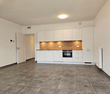 Rue des Bourgeois, 5000, Namur - Photo 6