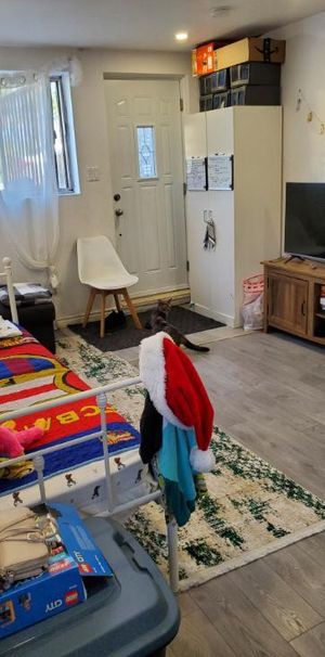 3 1/2 demi sous sol, saint sulpice, Ahuntsic - Photo 1