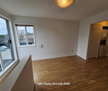 1BED/1BA NEW RENOS Bright and Light by Sapperton/Braid skytrain - Photo 3