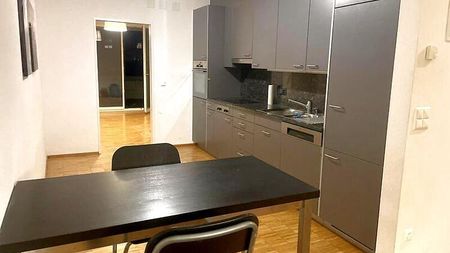 3½ Zimmer-Wohnung in Zürich - Kreis 3 Binz, möbliert, auf Zeit - Photo 4