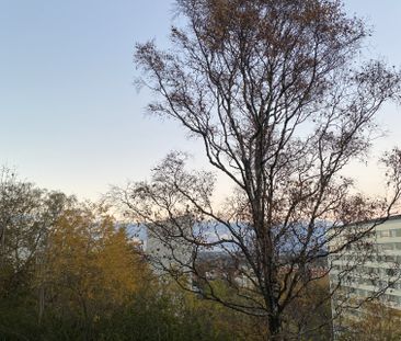 Doktor Forselius Backe, Göteborg - Photo 6