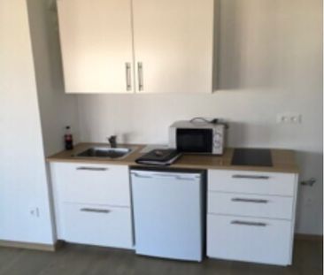 Location Appartement 1 pièce 33m² STRASBOURG 67100 - Photo 4