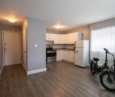 COZY BACHELOR APARTMENT IN THOROLD!! - Photo 5