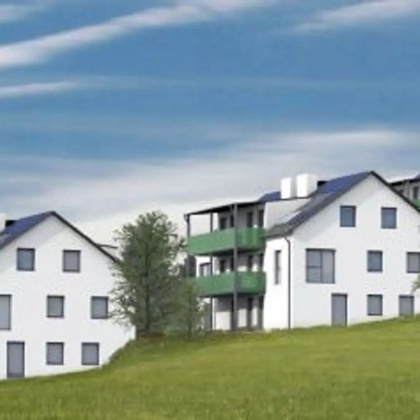 Geförderte Genossenschafts-Wohnung - MIETE - Photo 2