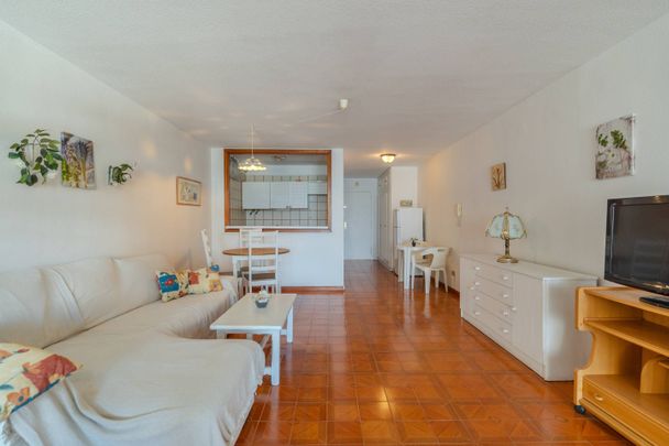 Estudio de alquiler en Avenida Cristobal Colon, 26, Zona Botánico - Photo 1