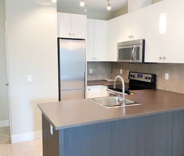 LINDY'S APTS - 405 - L405 - Photo 1