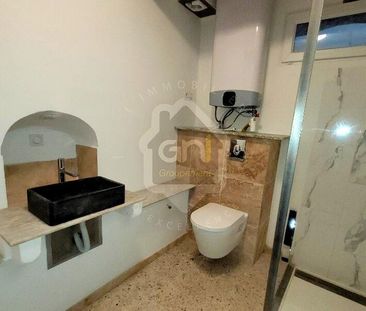 Location Appartement 1 pièce 41m² GONFARON 83590 - Photo 5