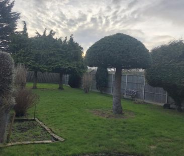 Newmarket Road, Bury St. Edmunds - Photo 4