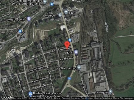 Magnifique appartement de 3,5 pces entièrement meublé - Photo 4