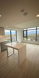 Brand New 2 Bed, 2 Bath in Kelowna @ AQUA TOWER 1 for Lease w/ VIEWS! - Photo 4