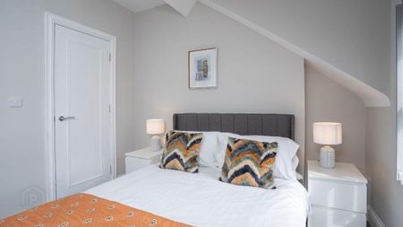 Apt 6, 19 Camden Street, Belfast, BT9 6AT - Photo 4