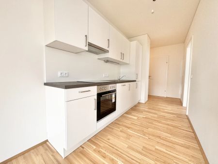 Moderne 2-Zimmer-Wohnung mit Balkon im Jakomini Verde – verfügbar ab 15.01.2026 - Foto 2