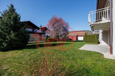 Apartment 4.5 rooms - Photo 4