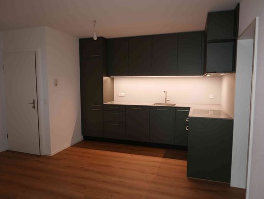 2.5 Zimmer, 57 m², EG - Photo 1